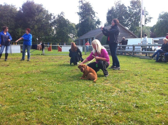 Guusje 1e puppy les 22-09-2012 064.jpg